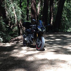 2007 FZ1 in the shadow of giants