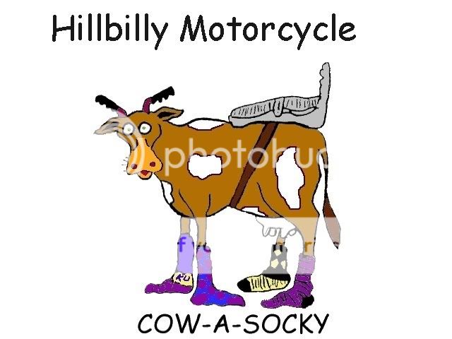 cow-a-socky.jpg