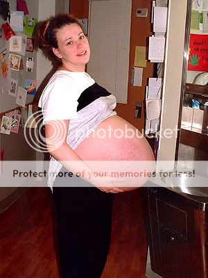 kate-gosselin-baby-bump-pregnant-with-sextuplets-photo.jpg